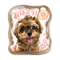 sashUSashu:)_20260610181851