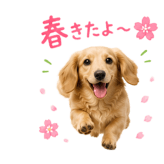Happy-diary_20260610184647