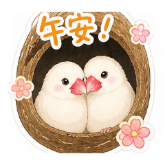 兇兇白文鳥