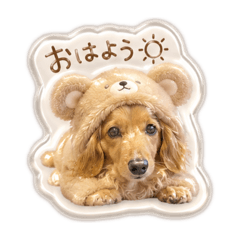 rina_20260611075957