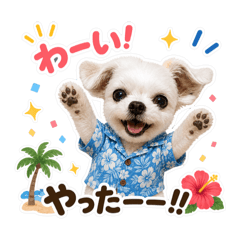 Everyday Summer Saran  2