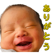 daisuke_20260612223706