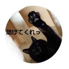 kurukururu