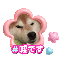 api_20260612225737
