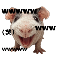 mana_20260612230636