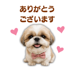 miki_20260612234256