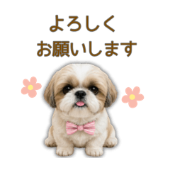 miki_20260612234706