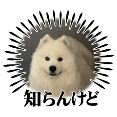 kusa_20260613000704
