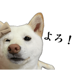 R_20260613002625