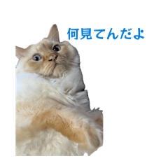 k_20260613075830