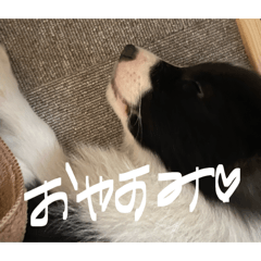 GO123_t