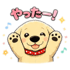 Tomo_20260613090431