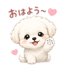Riku_20260613095030