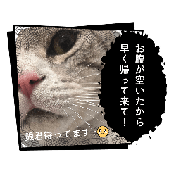 HIROMI_20260613115338