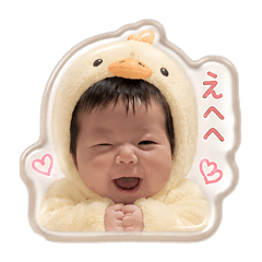 shio_20260613120059