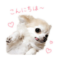 riri_20260613133739