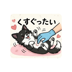 shunachiwa_20260613142303