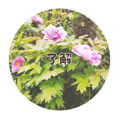 asae.kuwahara_20260613145509