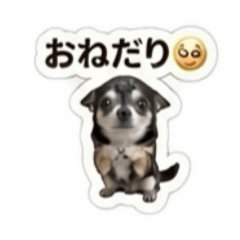 yuuuum_20260613151305