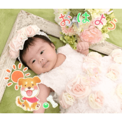 shio_20260613152027