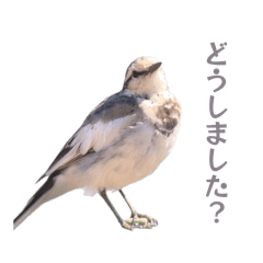 kou_20260613152206