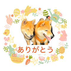 kazumi_20260613154712