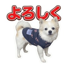 momosemaru