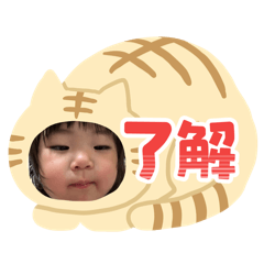 Hayao_20260613153830
