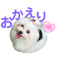 Mayu_20260613160752