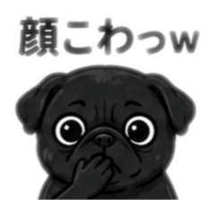 sng9689_20260613161500
