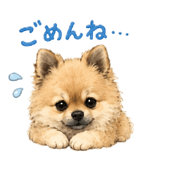 itouemon_20260613163101