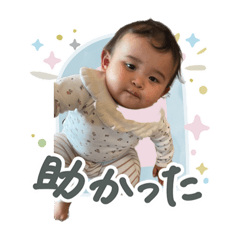 Taro_20260613172230