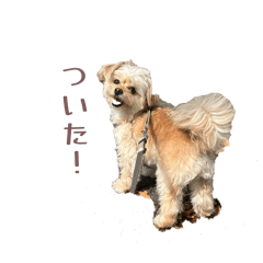 Rei_20260613174311