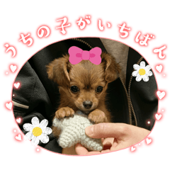 Nagisa_20260613174749