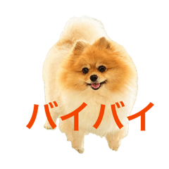 happy_20260613175805