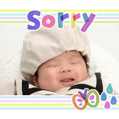 msmsr_20260613180354