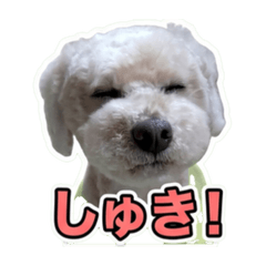 Taniyama_20260613182452