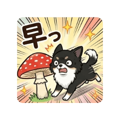 shunachiwa_20260613184945