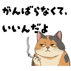 suisuisuu_20260616090704