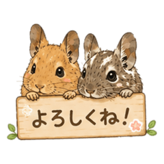 Daily Life of a Degu
