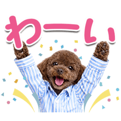 RIEDA_20260611135737