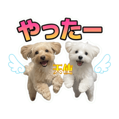 rei_shio_stamp