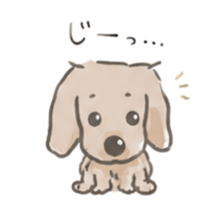 love dachshund Japanese