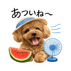 yururin_20260611151509