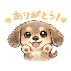 Miniature Dachshund2_yururu