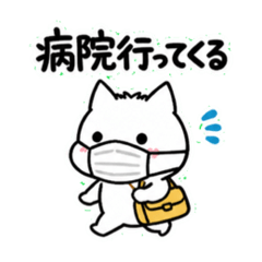 nukonameko_20260611190116