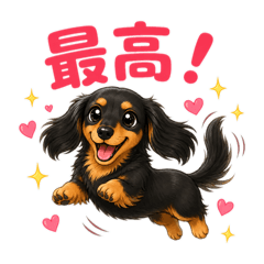 Black & Tan Dachshund Reactions.