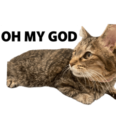 Stamp.cat2