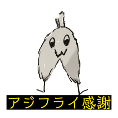 rakiwo_20260611204028
