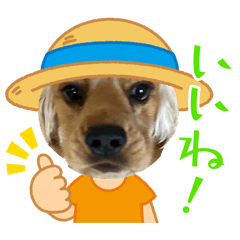 kuroki_20260611212248